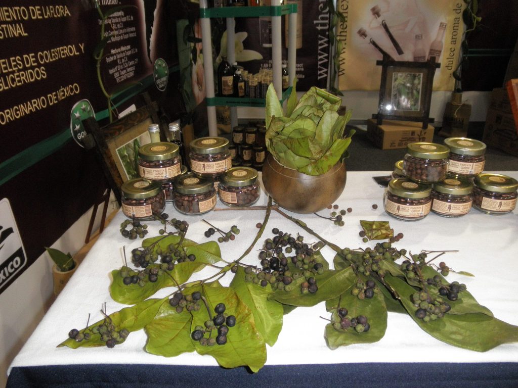 The-Mexican-Vanilla-Pimientas