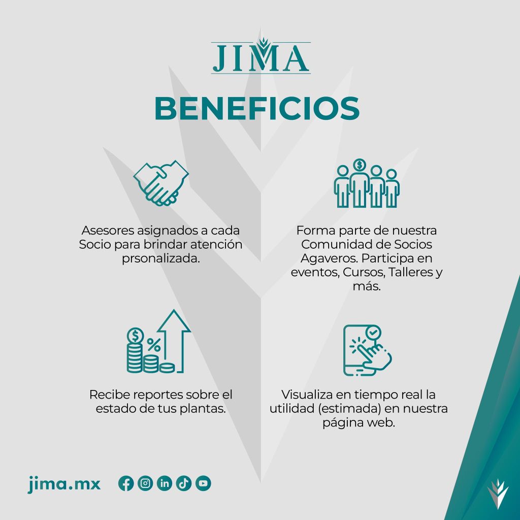 6692d173f02f7JIMA 5