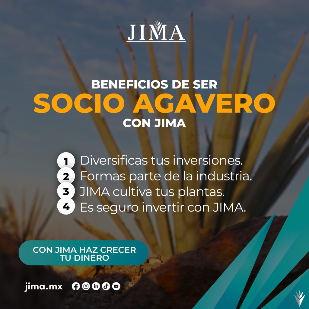 6692d183493e4JIMA 6