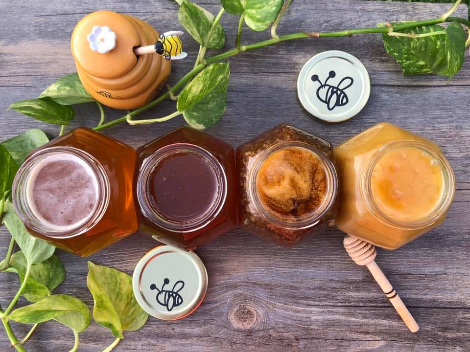 Eco-Bee-Happy-6
