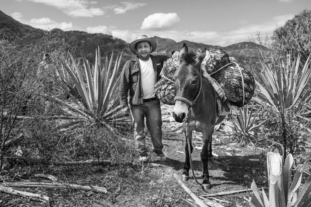 HonoriAmor-Mezcal-3