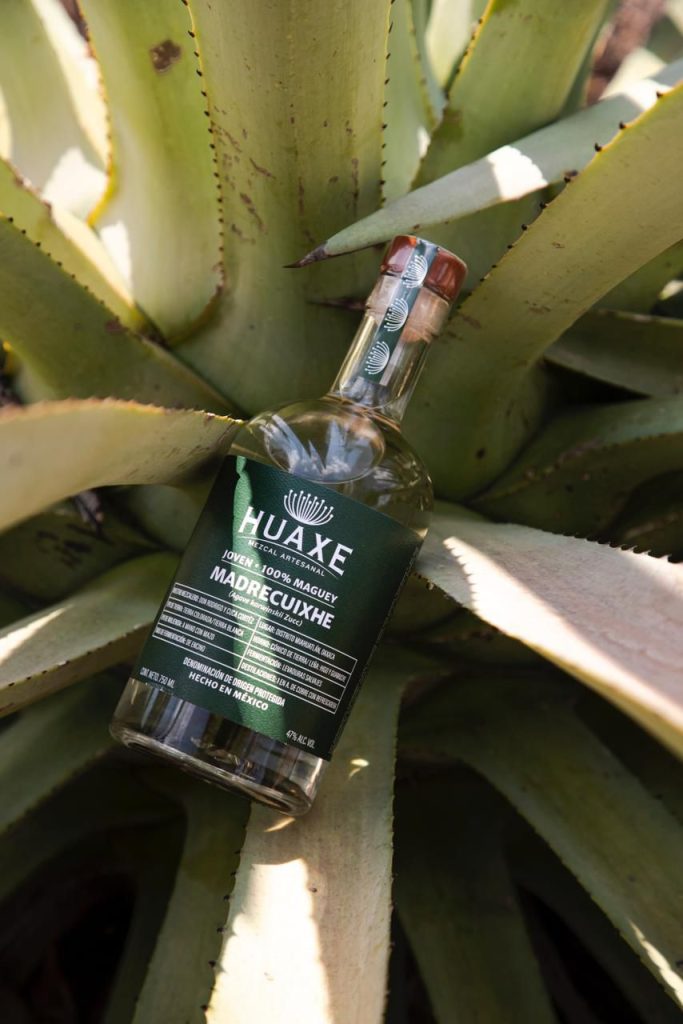 Huaxe-Destilados-Agave-1