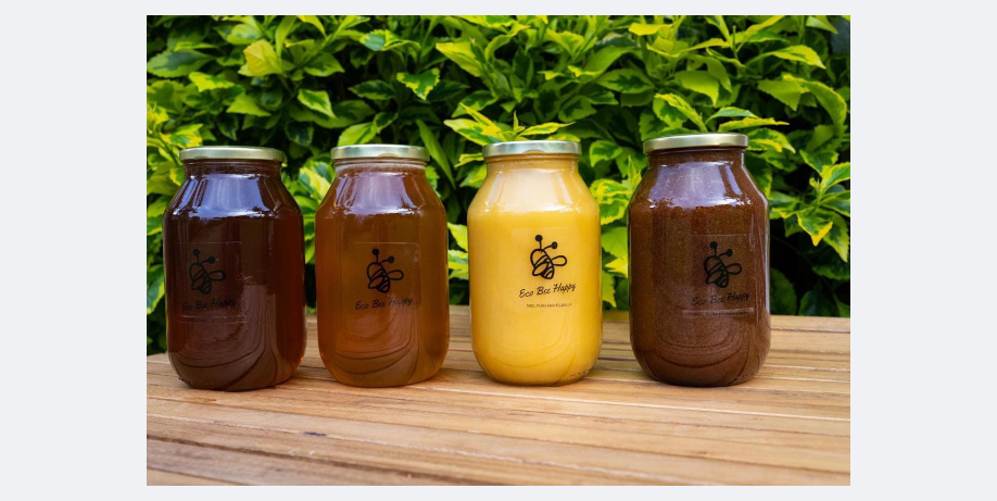 Eco-Bee-Happy-4