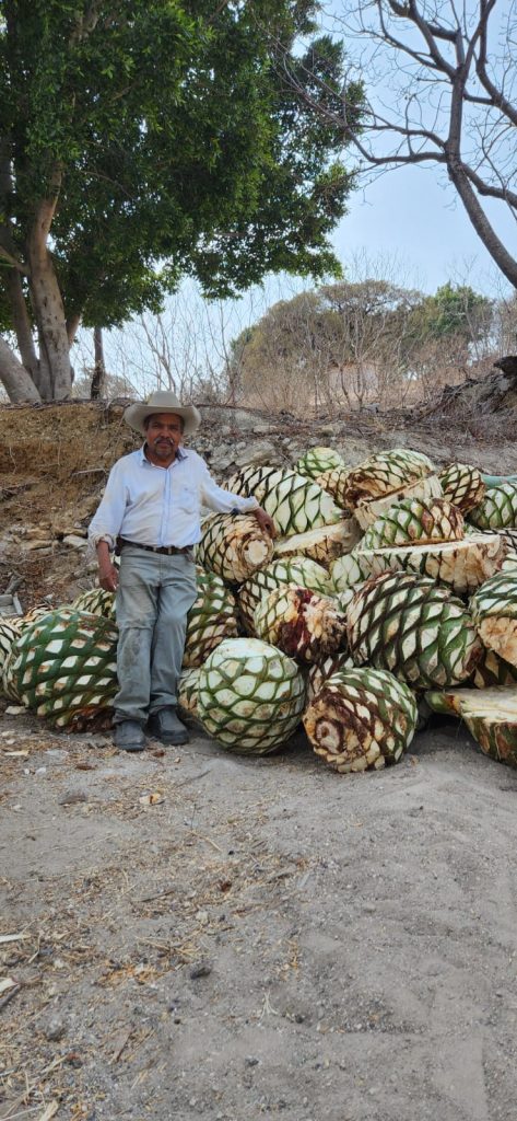Mezcal-Artesanal-5-Mitras-4