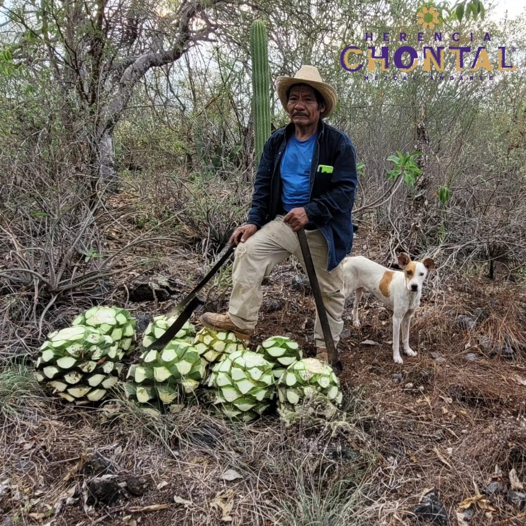 Mezcal-Herencia-Chontal-3