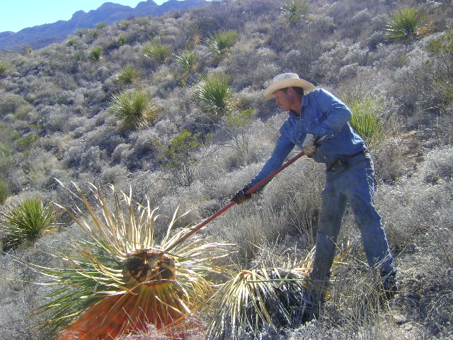 Sotoleros-Llano-1