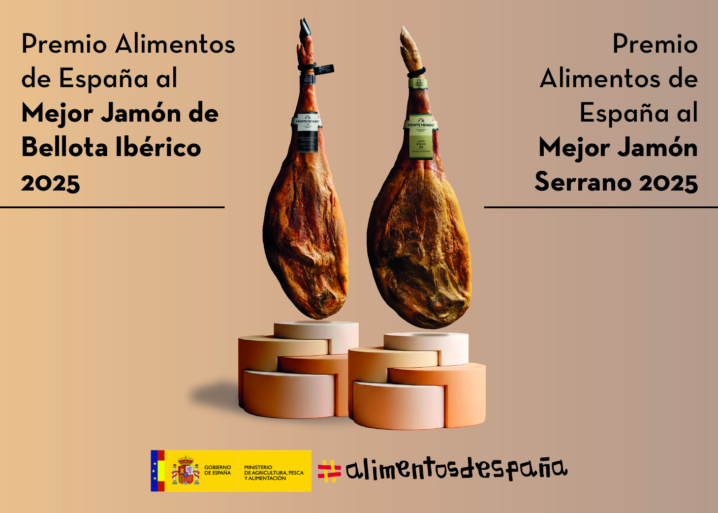 Galeria_COMERCIALIZADORA_BURGOS_4
