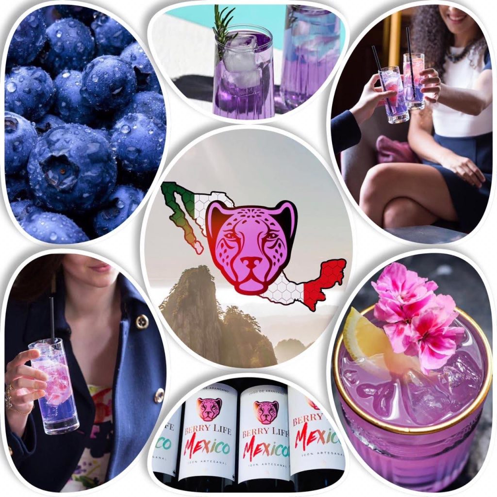 Galeria_BERRY_LIFE_3