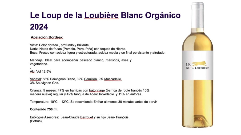 Galeria_CAVA_DE_BORDEAUX_1