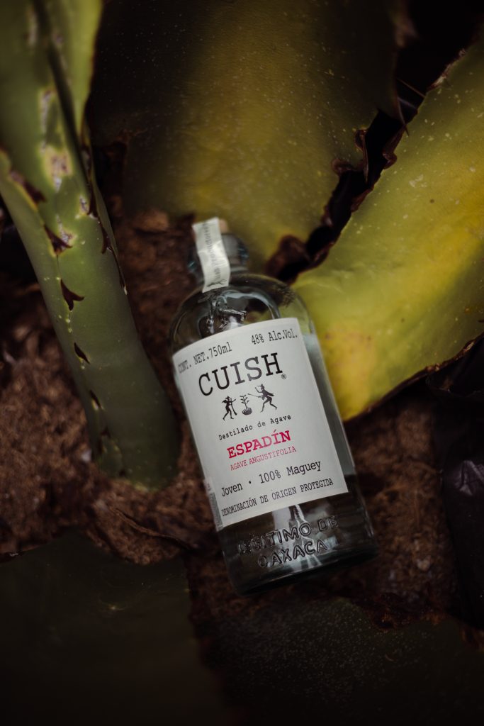 Galeria_CUISH_MEZCALES_ORGANICOS_2