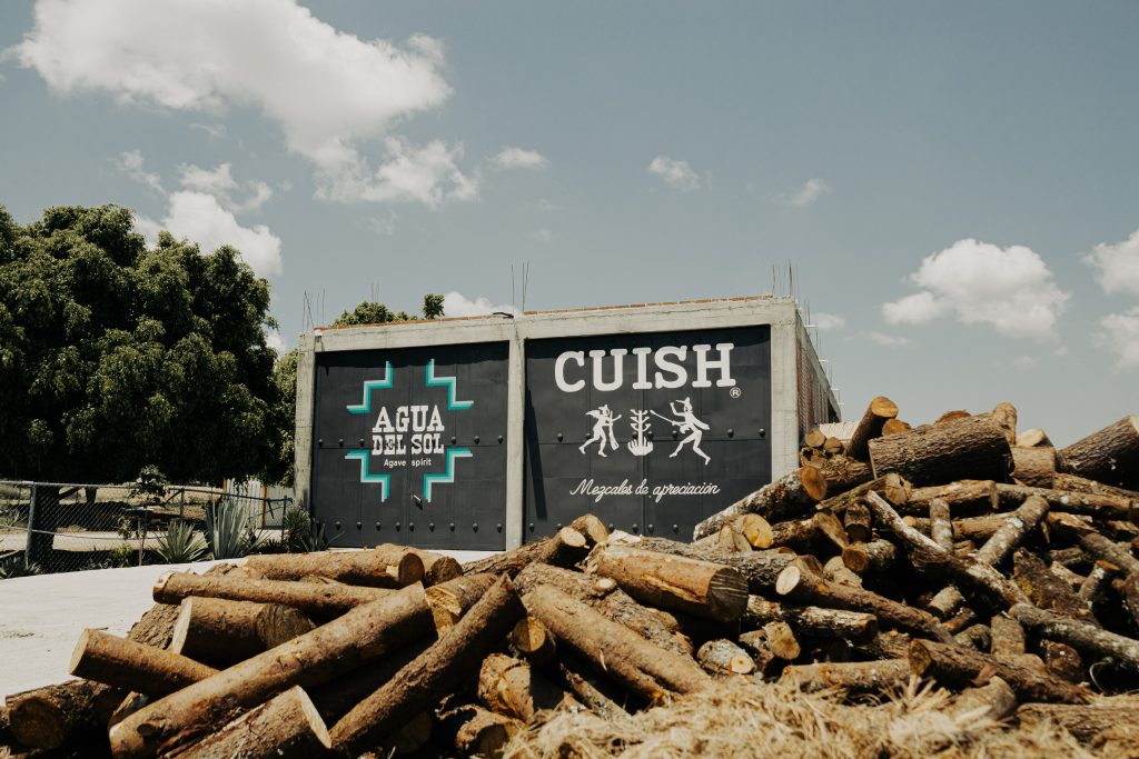Galeria_CUISH_MEZCALES_ORGANICOS_4