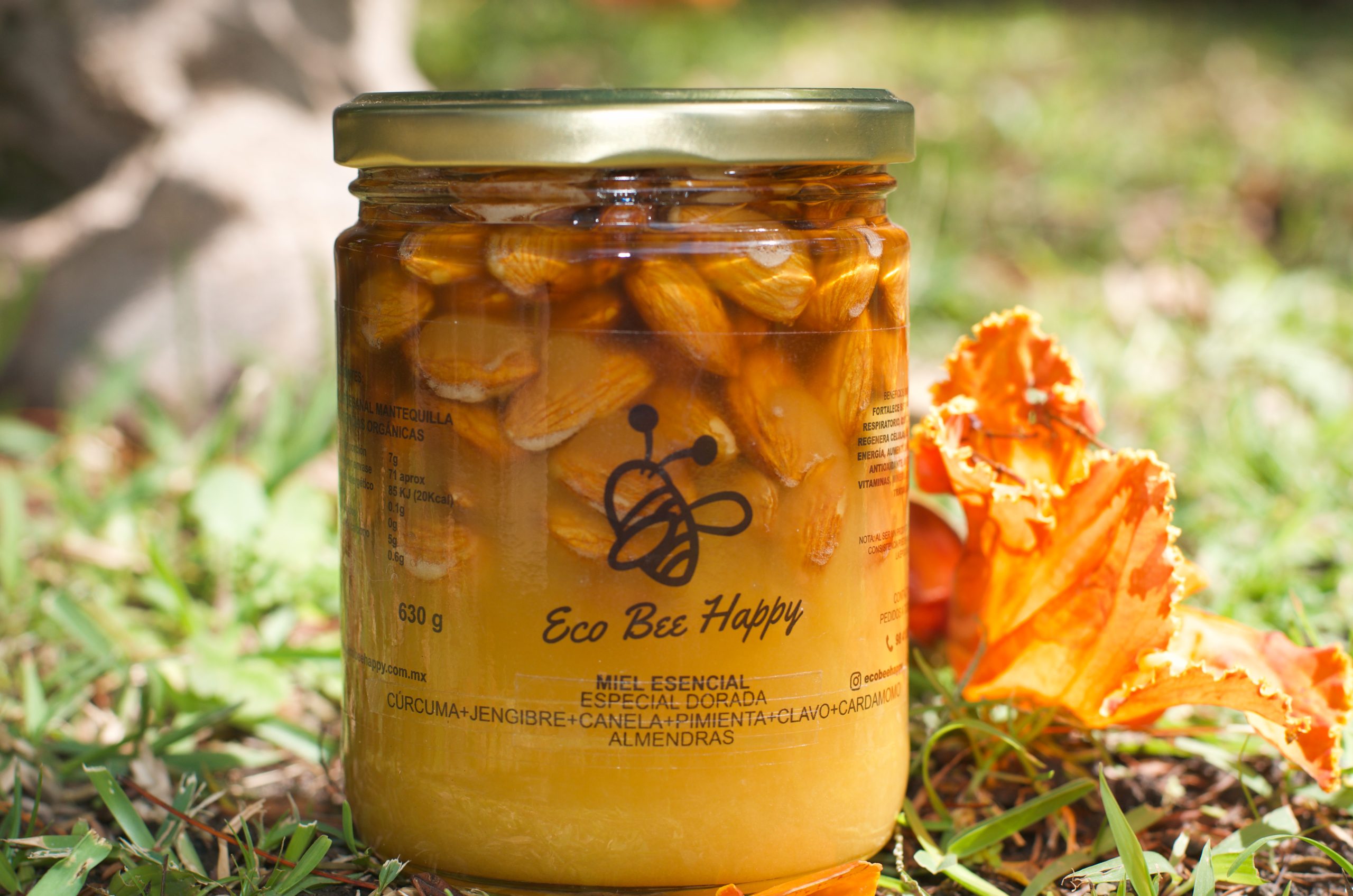 Galeria_ECO_BEE_HAPPY_2