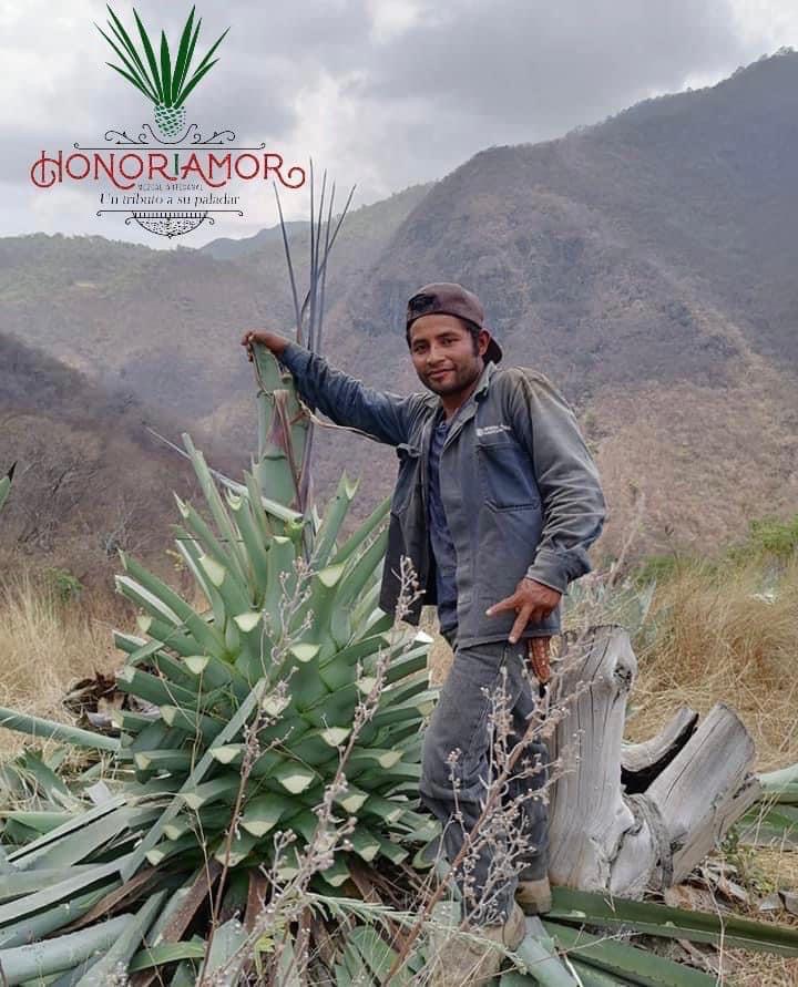 Galeria_HONOR___AMOR_MEZCAL_ARTESANAL__1