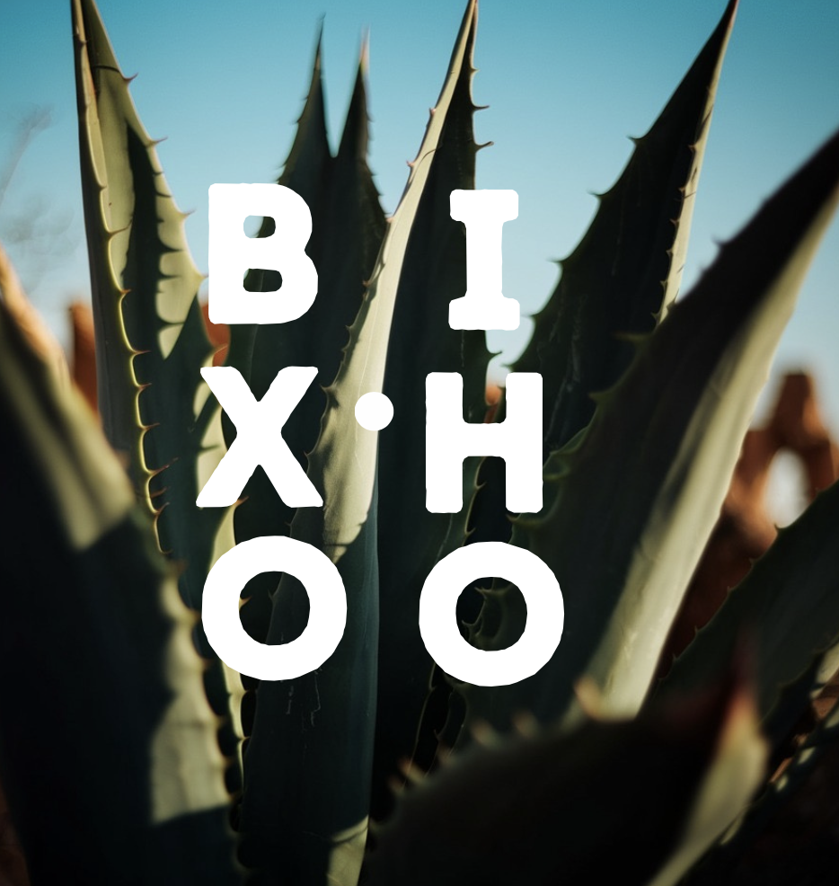 Galeria_MEZCAL_ARTESANAL_BIXHOO_1