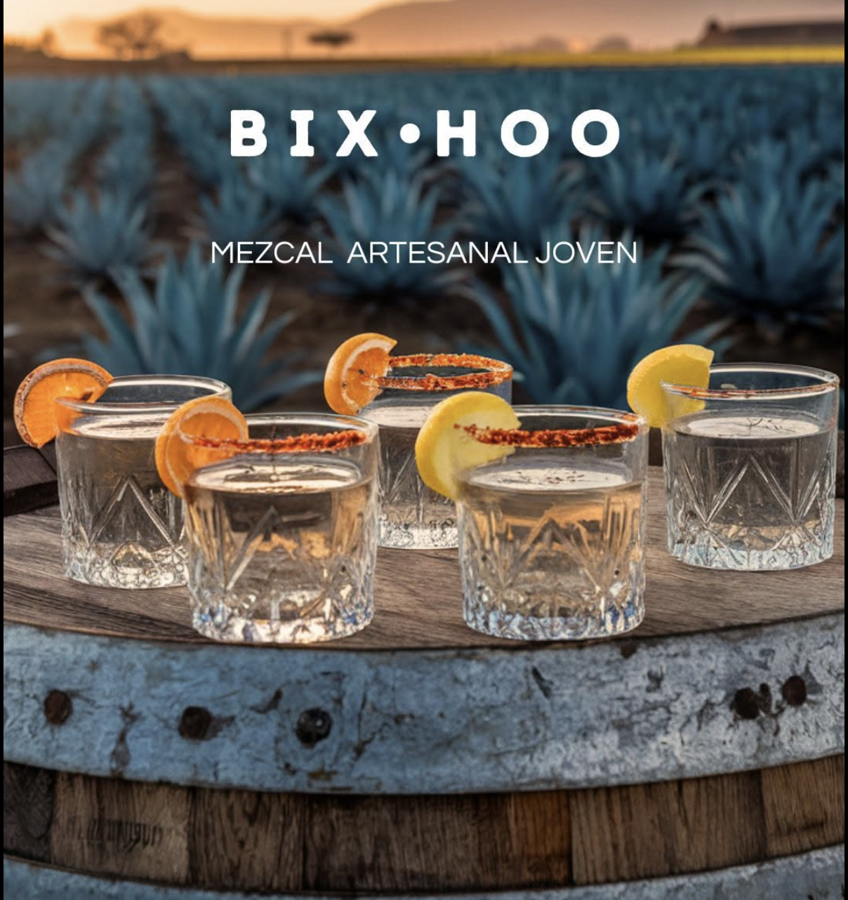 Galeria_MEZCAL_ARTESANAL_BIXHOO_4
