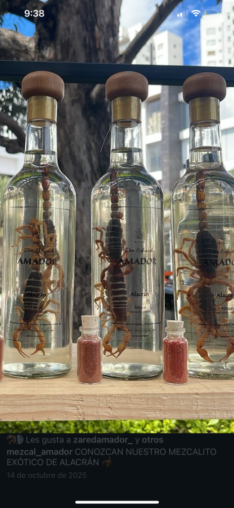 Galeria_MEZCAL_DON_EDUARDO_AMADOR_6