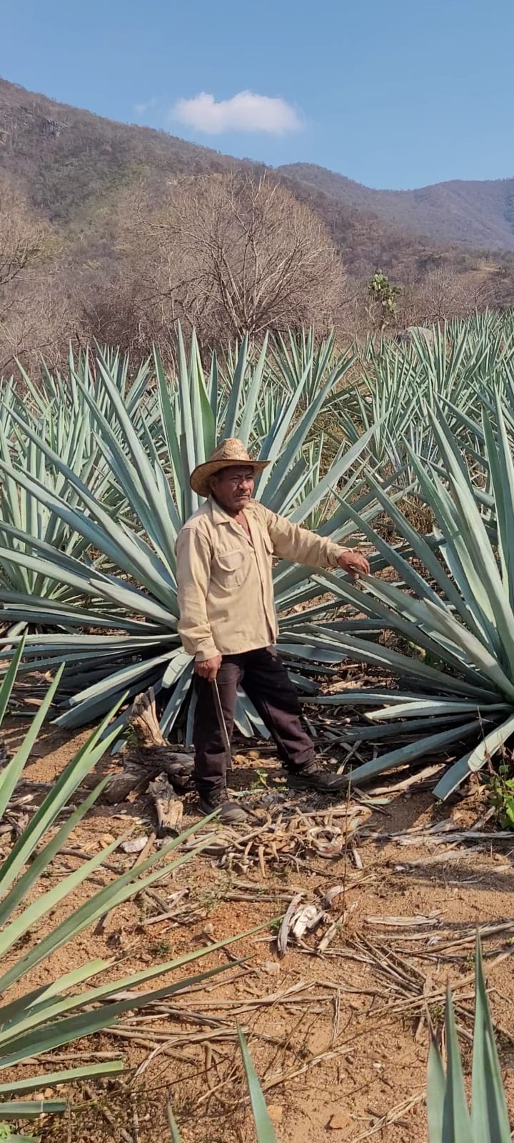 Galeria_MEZCAL_HERENCIA_CHONTAL_2