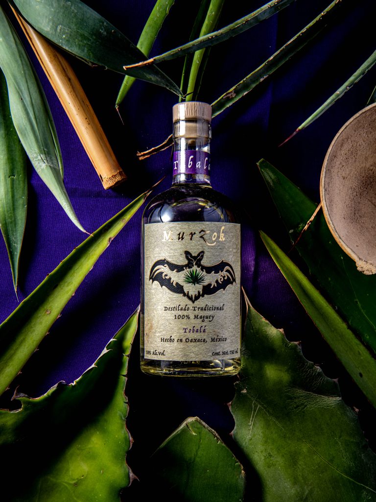 Galeria_MEZCAL_MURZOK_1