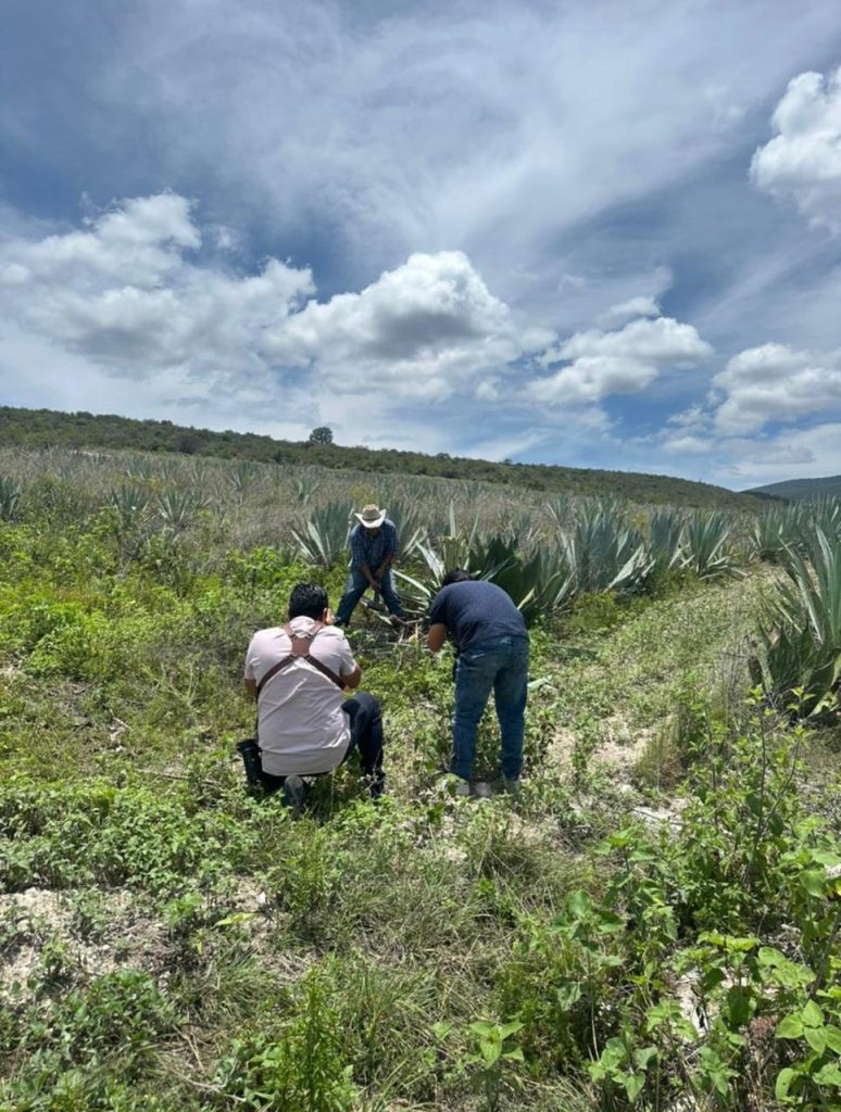 Galeria_MEZCAL_SOMBRAS_DEL_ALMA_2