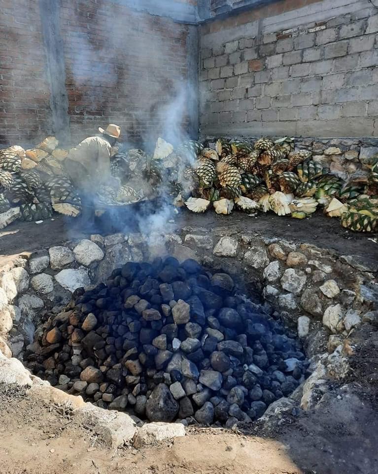 Galeria_MEZCAL_SOMBRAS_DEL_ALMA_4