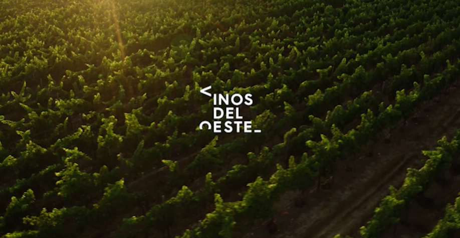 Galeria_VINOS_DEL_OESTE_2
