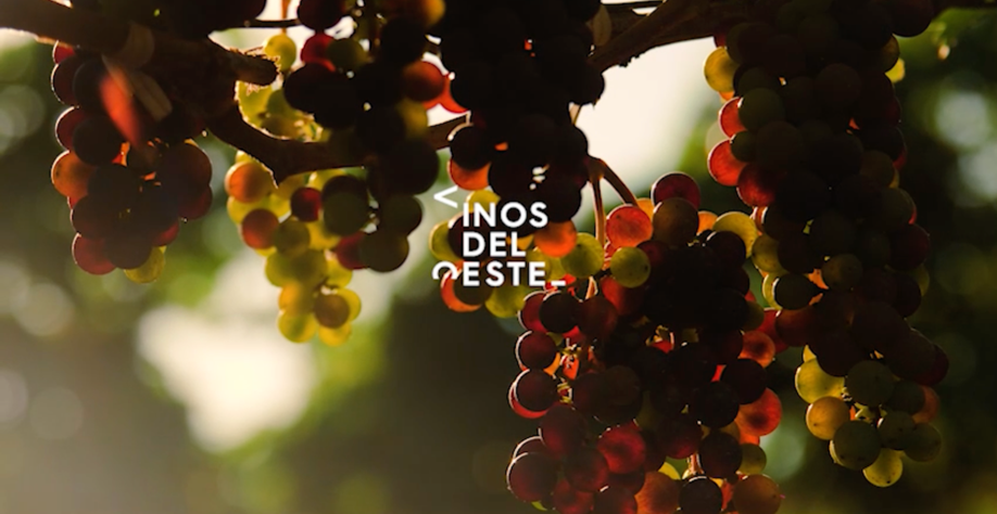 Galeria_VINOS_DEL_OESTE_3