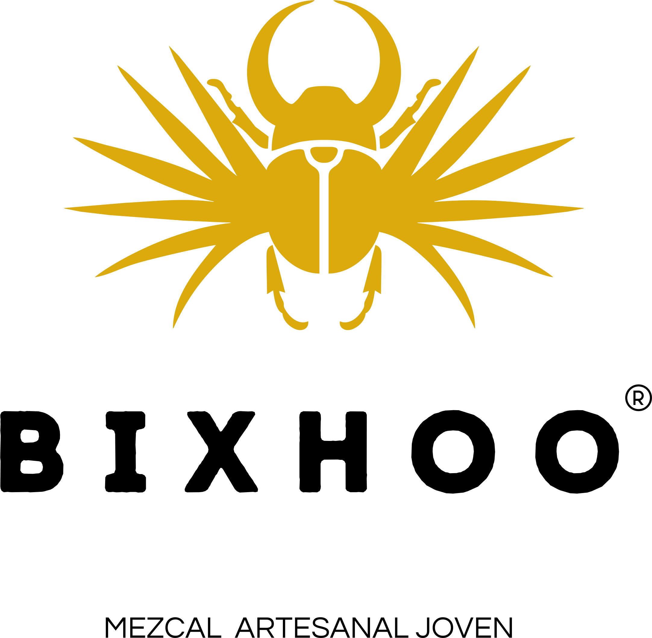 Logo_MEZCAL_ARTESANAL_BIXHOO