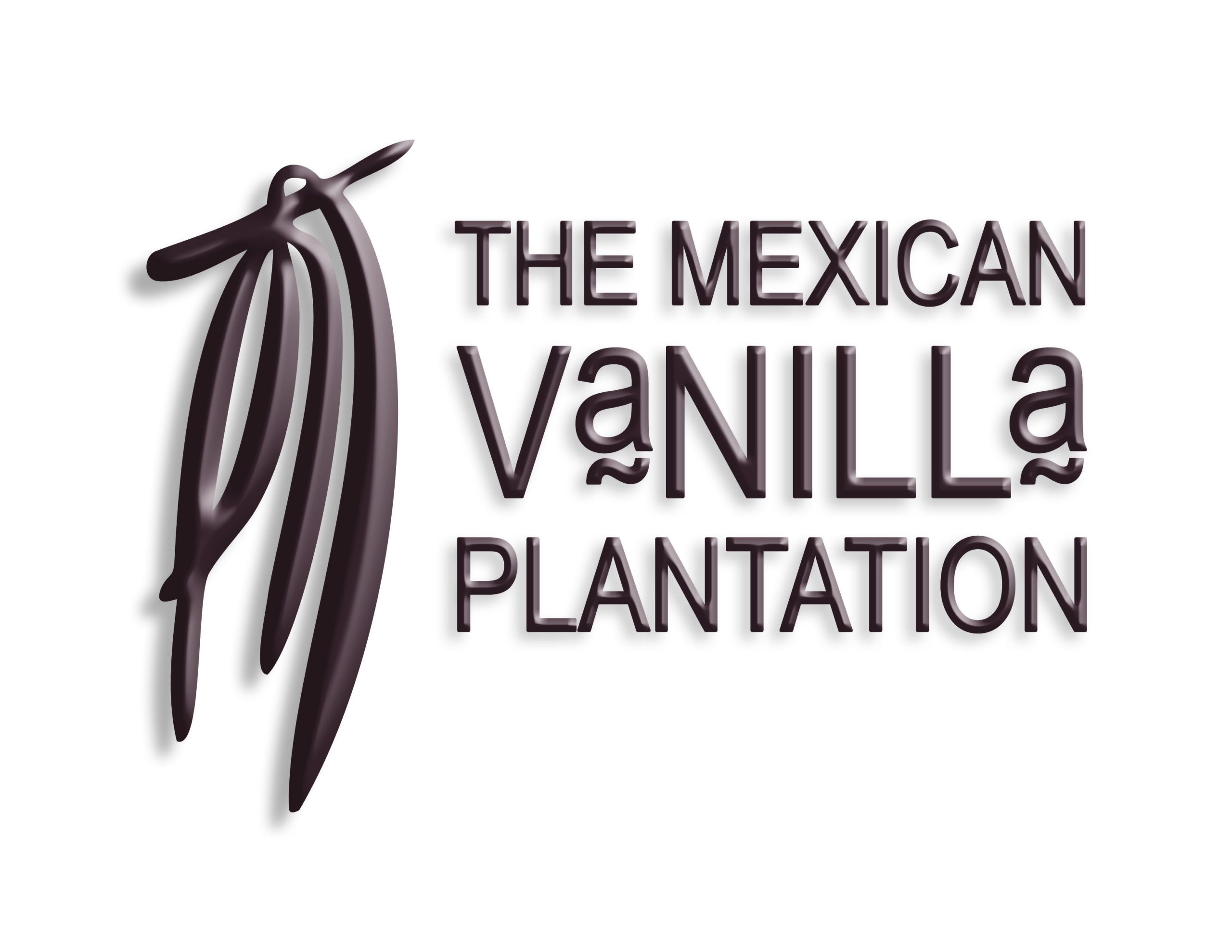 LOGO THE MEXICAN VANILLA 2019